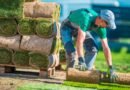 Dive into the Green: Your Roadmap to Launching a Landscaping Venture
