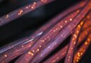What Is Fiber-Optic Internet?