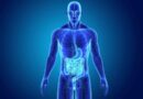Chemical And Mechanical Digestion