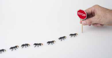 How to Keep Pantry Pests From Invading Your Kitchen
