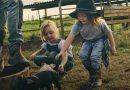 Animal feeds ingredients