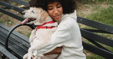 Animal Lovers: Top 10 Most Popular Emotional Support Animals