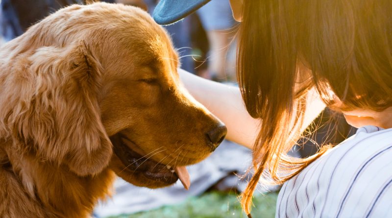 Fundamental Responsibilities of a Pet Owner
