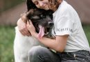 5 Important Pet Owner Responsibilities