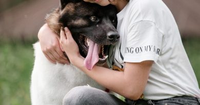 5 Important Pet Owner Responsibilities
