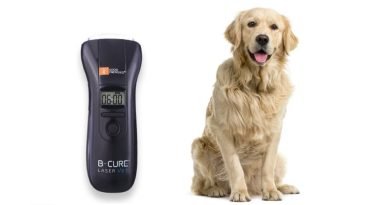 Are Dogs Able to Heal with Laser Therapy