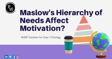 How Does Maslow's Hierarchy of Needs Affect Motivation