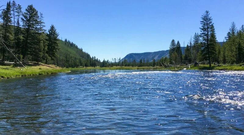 5 Reasons Why the Madison River is a Renowned Recreation Destination